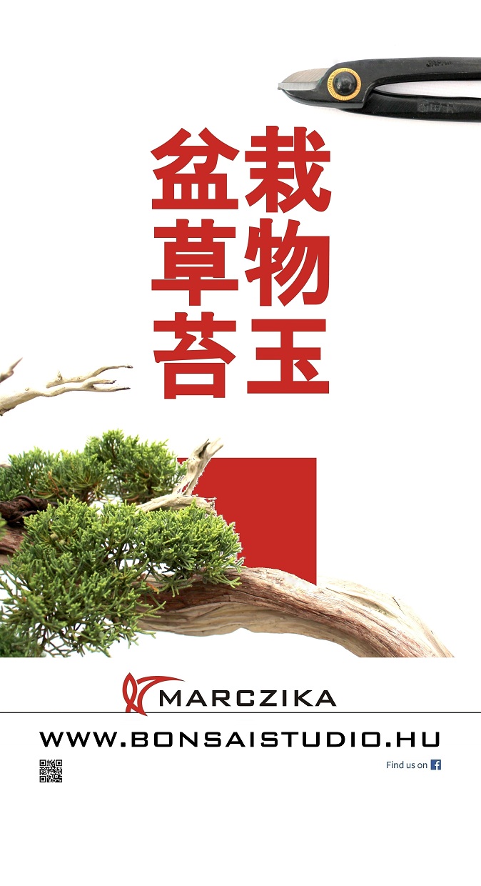 noelanders trophy exhibition and bonsai show traders marczika bonsai sudio